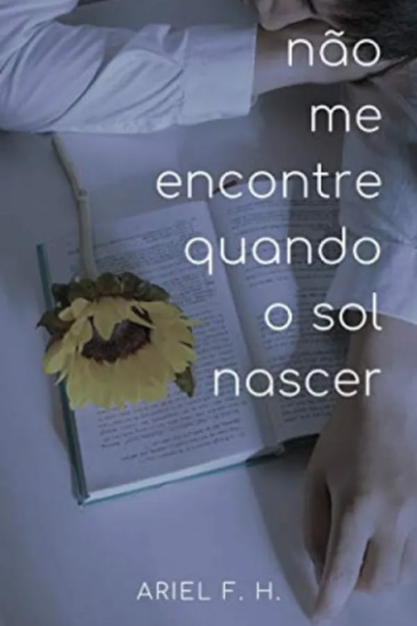 Capa de Não me Encotre quando o Sol Nascer