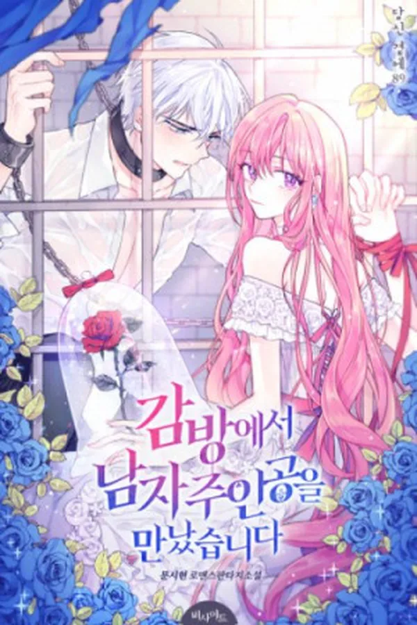 Capa de I Met the Male Lead in Prison
