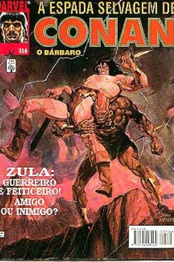 Capa de A Espada Selvagem de Conan # 114