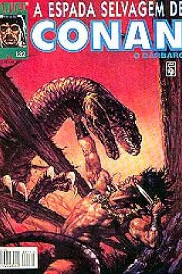 Capa de A Espada Selvagem de Conan # 132