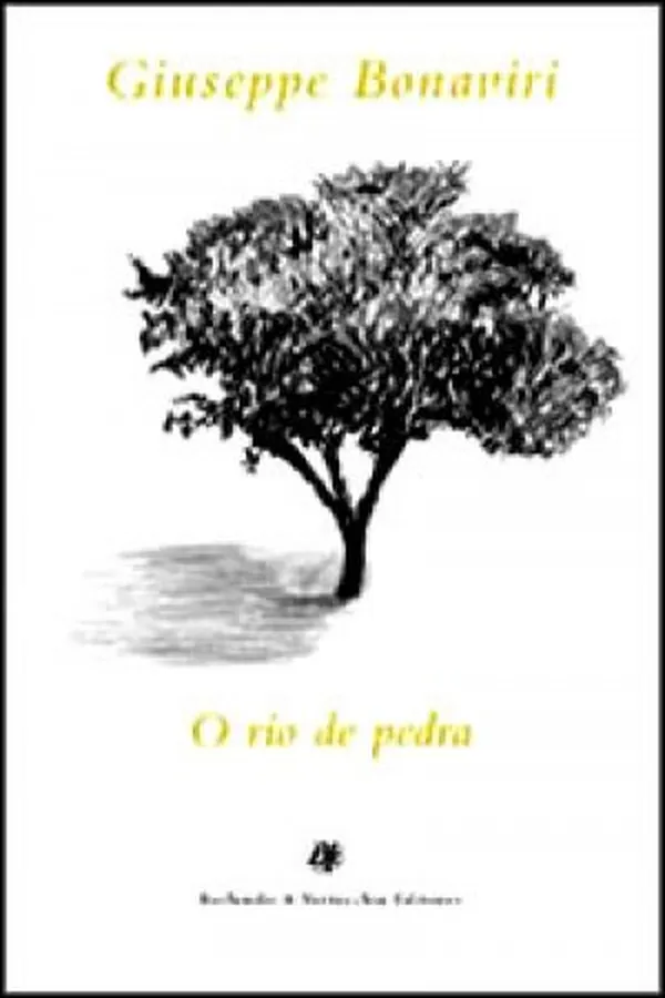 Capa de O rio de pedra