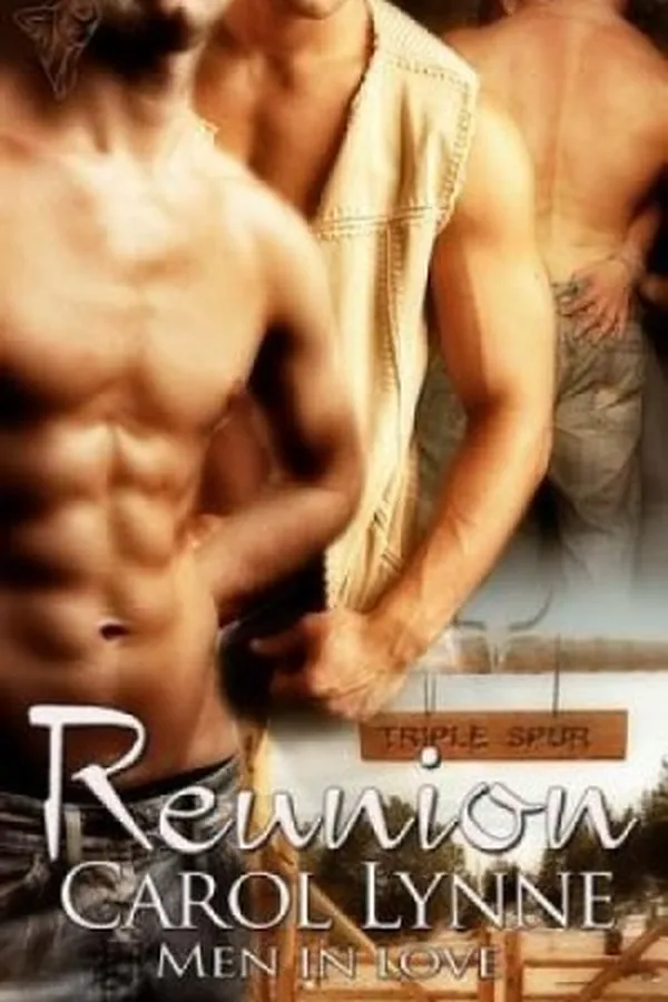 Capa de Reunion