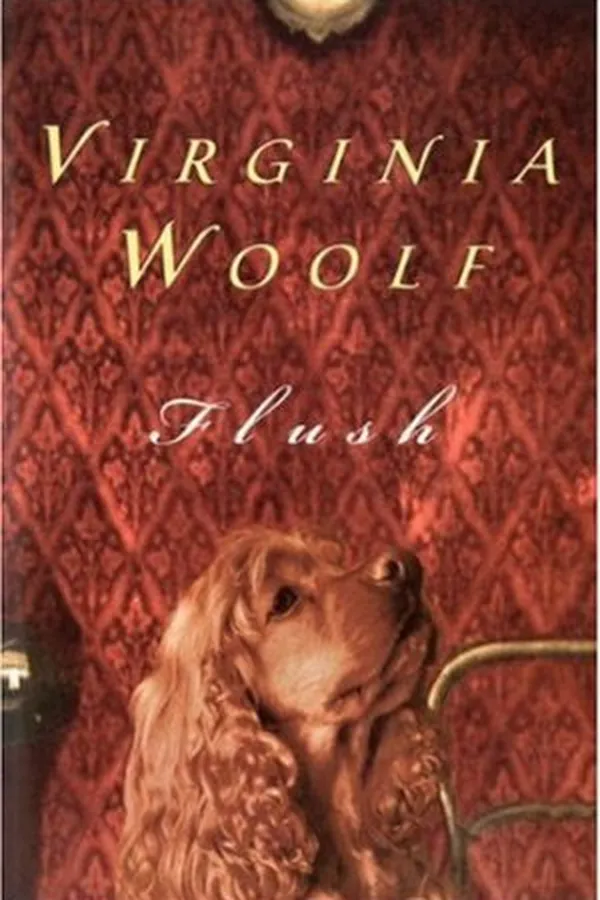 Capa de Flush