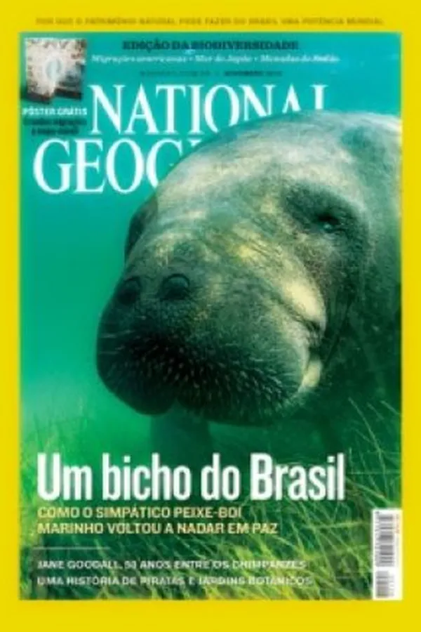 Capa de National Geographic Brasil - Novembro 2010 - Nº 128
