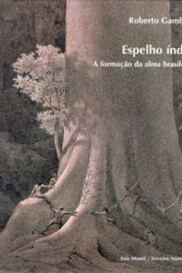 Capa de Espelho Índio