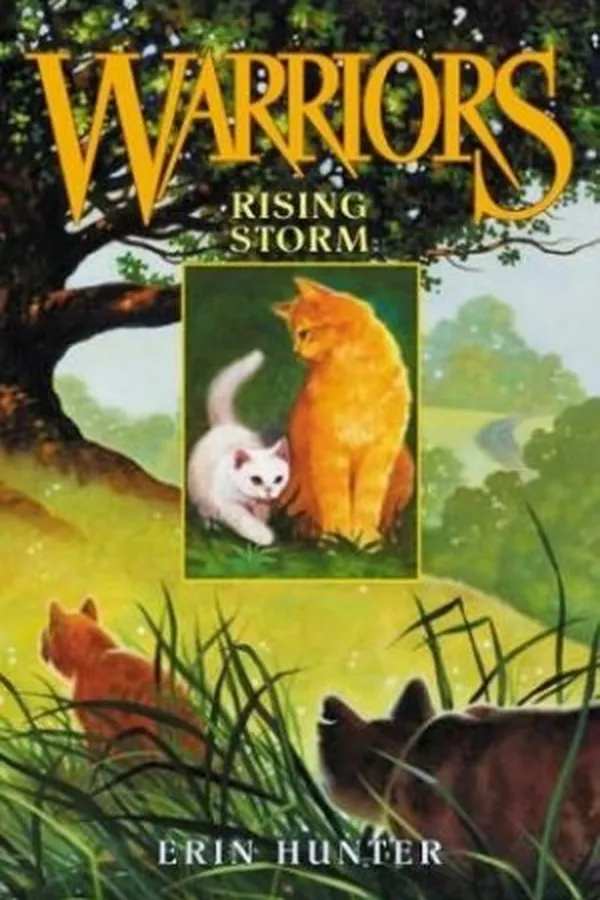 Capa de Rising Storm