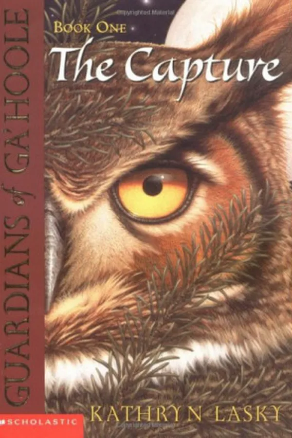Capa de The Capture