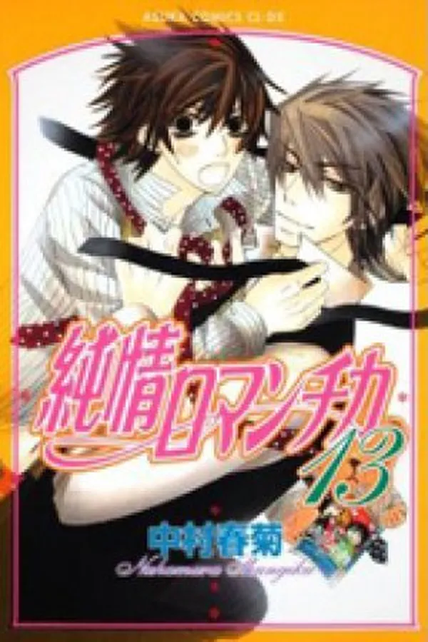 Capa de Junjou Romantica #13