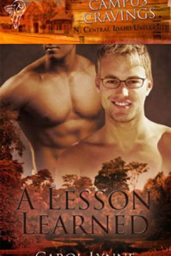 Capa de A Lesson Learned