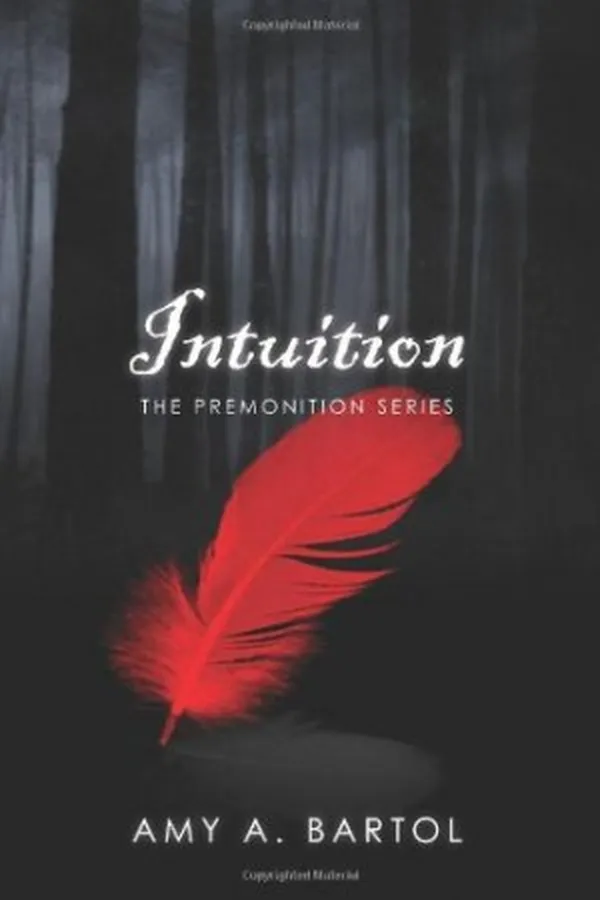 Capa de Intuition