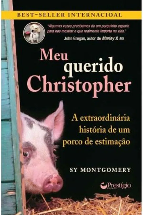 Capa de Meu querido Christopher