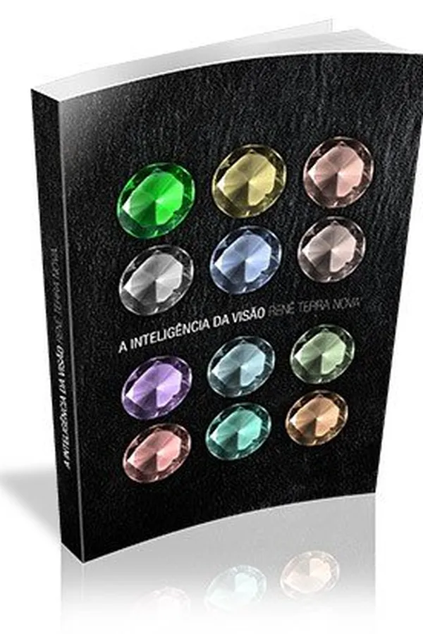 Capa de A Inteligência da Visão