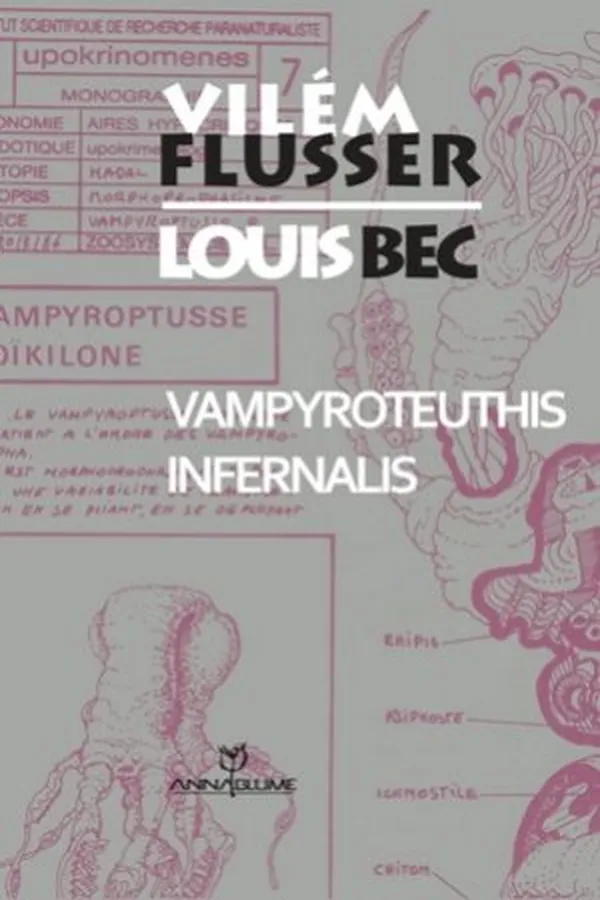 Capa de Vampyroteuthis infernalis