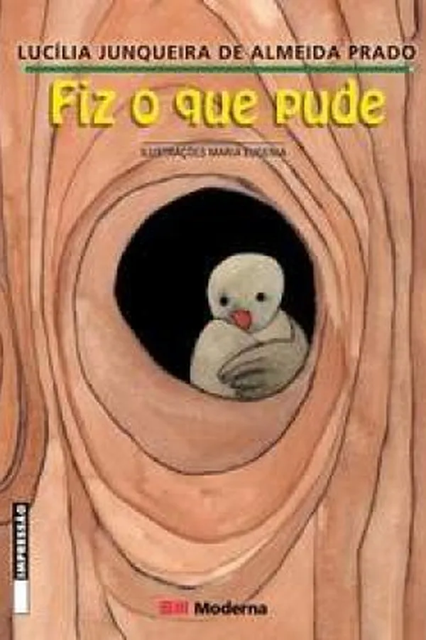 Capa de Fiz o que pude