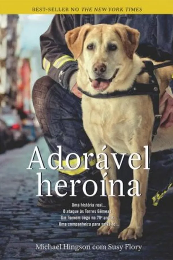 Cover of Adorável heroína