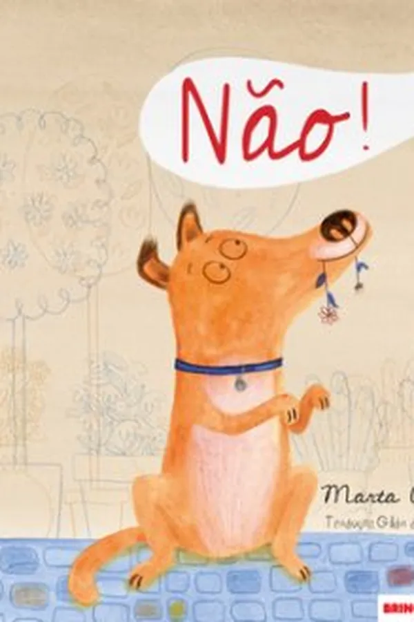 Capa de Não!
