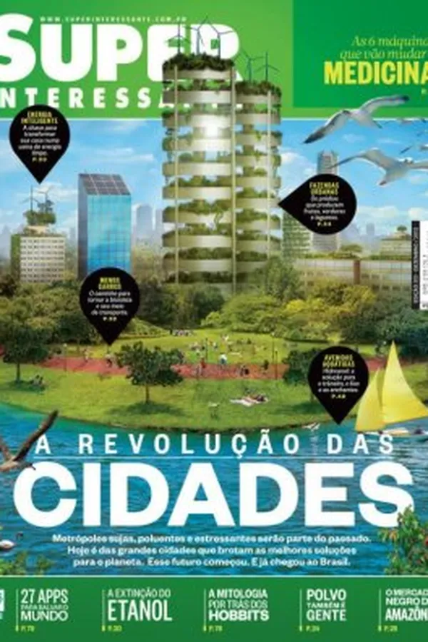 Capa de Super Interessante 313