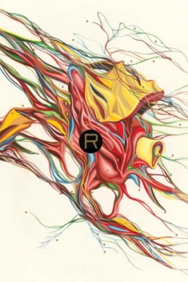 Capa de Rant