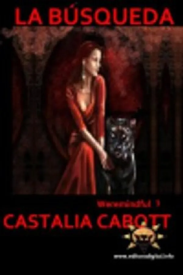 Capa de A Busca