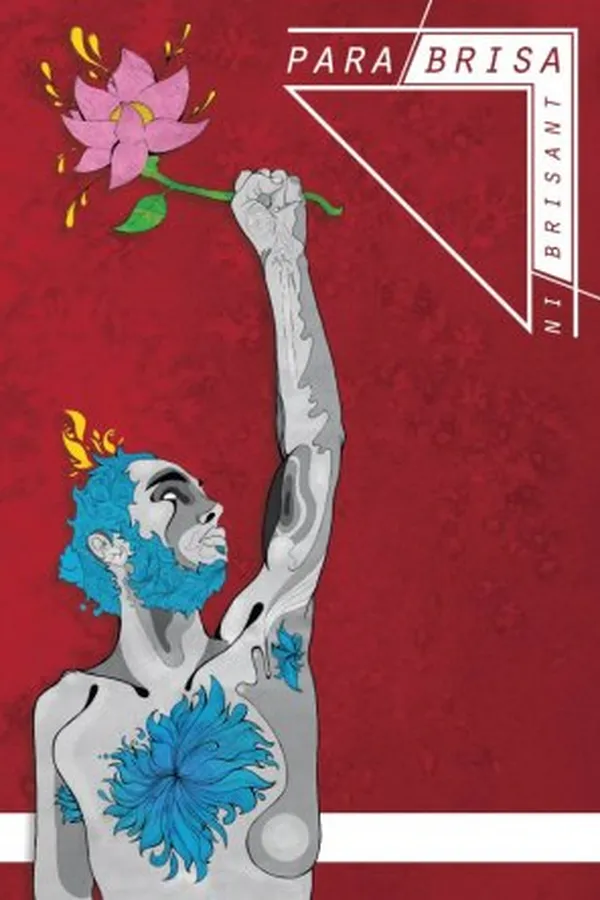Capa de Para Brisa