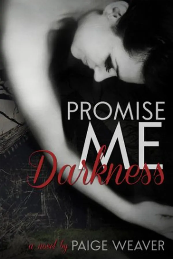 Capa de Promise Me Darkness