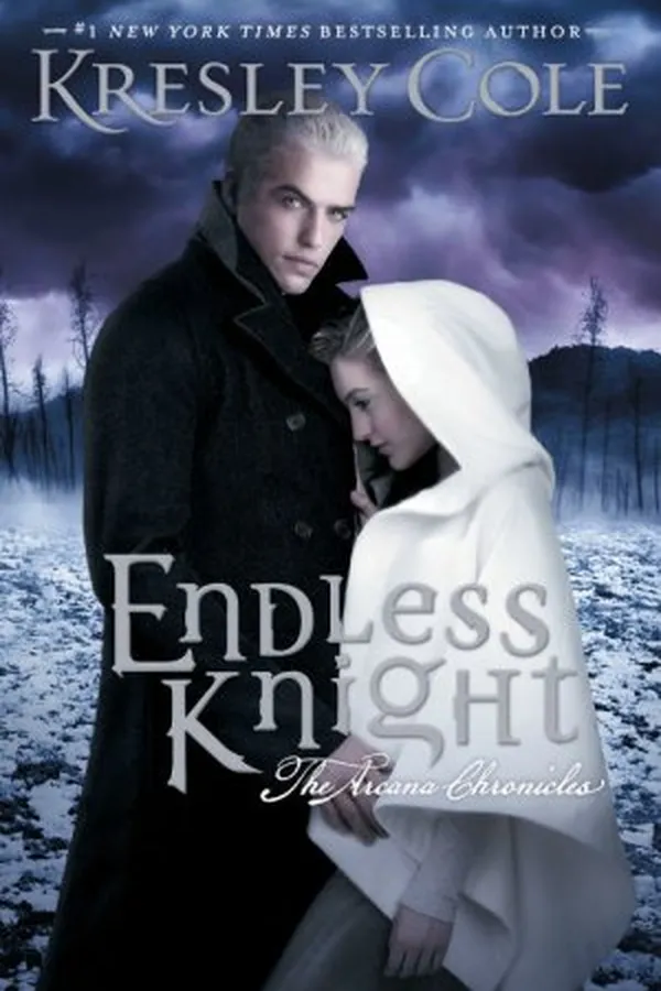 Capa de Endless Knight