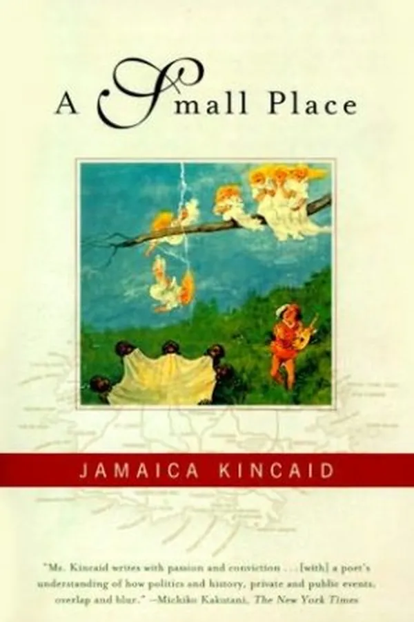 Capa de A small place