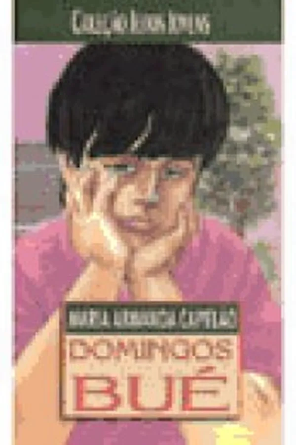 Capa de Domingos Bué