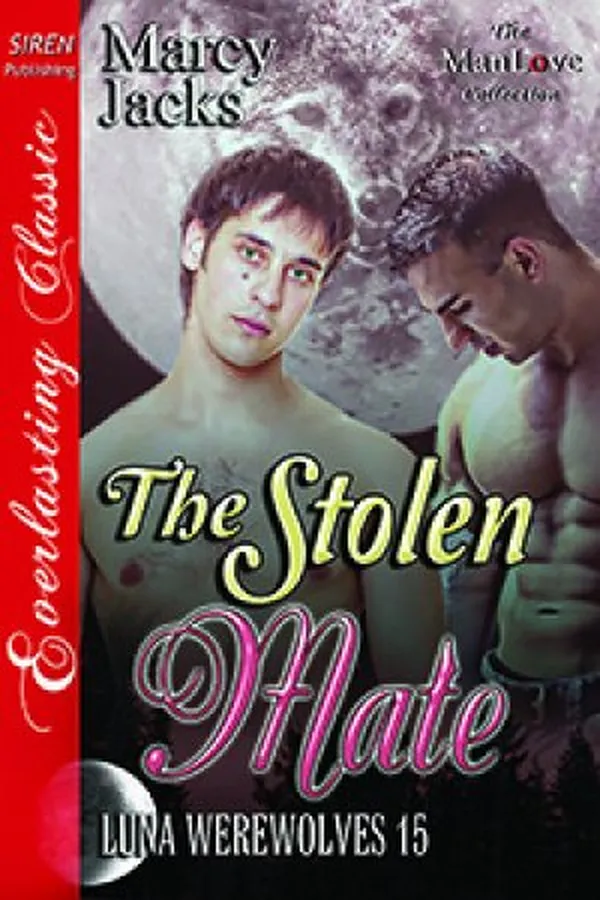 Capa de The Stolen Mate