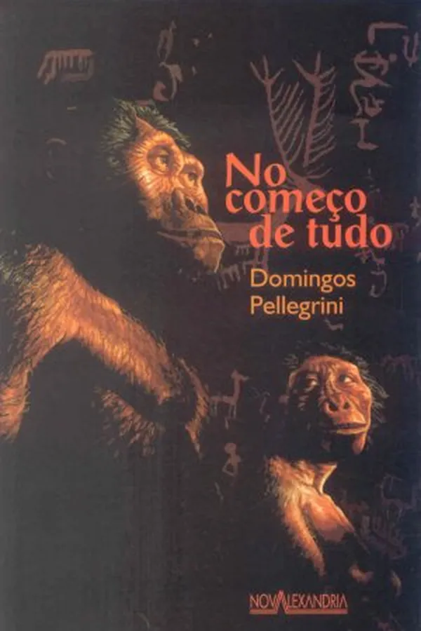 Capa de No começo de tudo