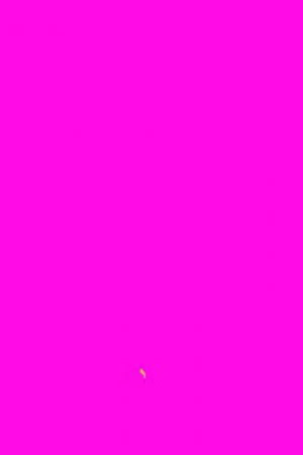 Capa de Nenhum 19