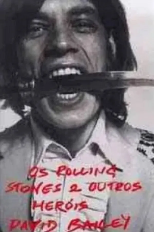 Capa de Rolling Stones e Outros Heróis