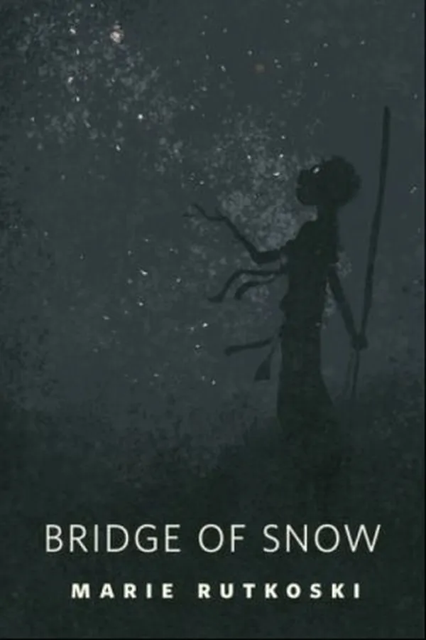 Capa de Bridge of Snow