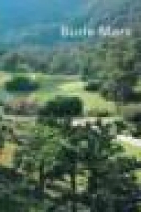 Cover of Burle Marx