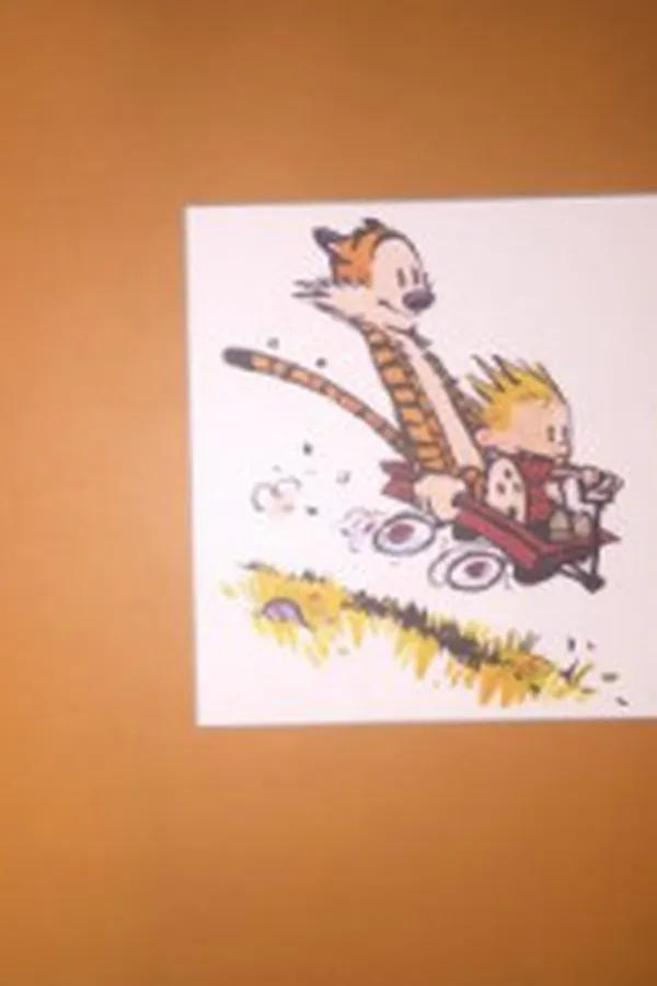 Capa de The Complete Calvin and Hobbes