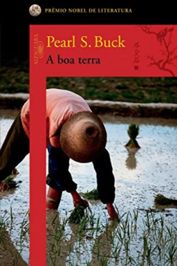 Capa de A boa terra
