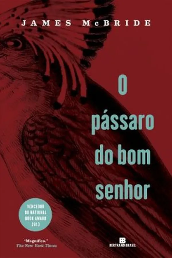 Capa de O pássaro do bom senhor