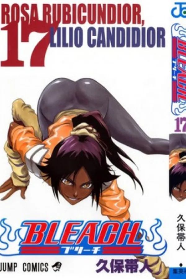 Capa de Bleach #17