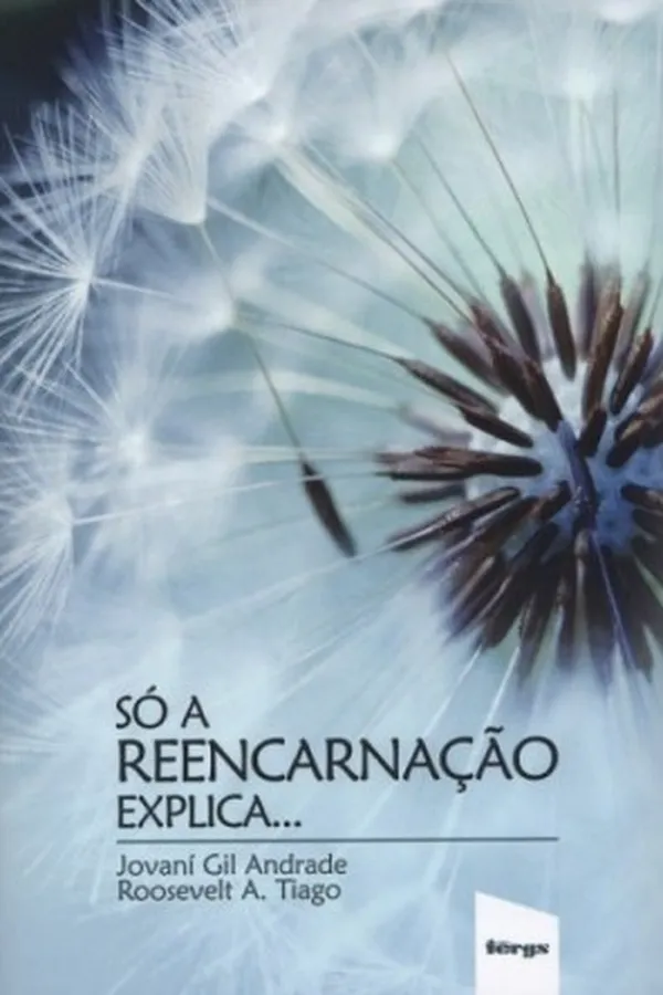 Cover of Só a Reencarnação Explica...
