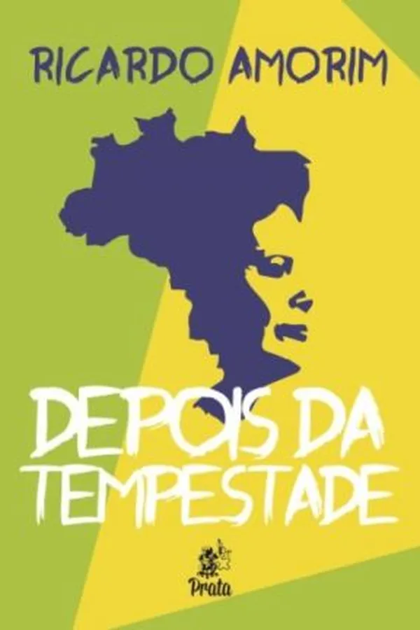 Capa de Depois da Tempestade