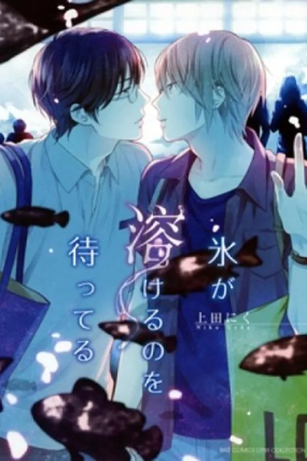Capa de Koori ga Tokeru no wo Matteru