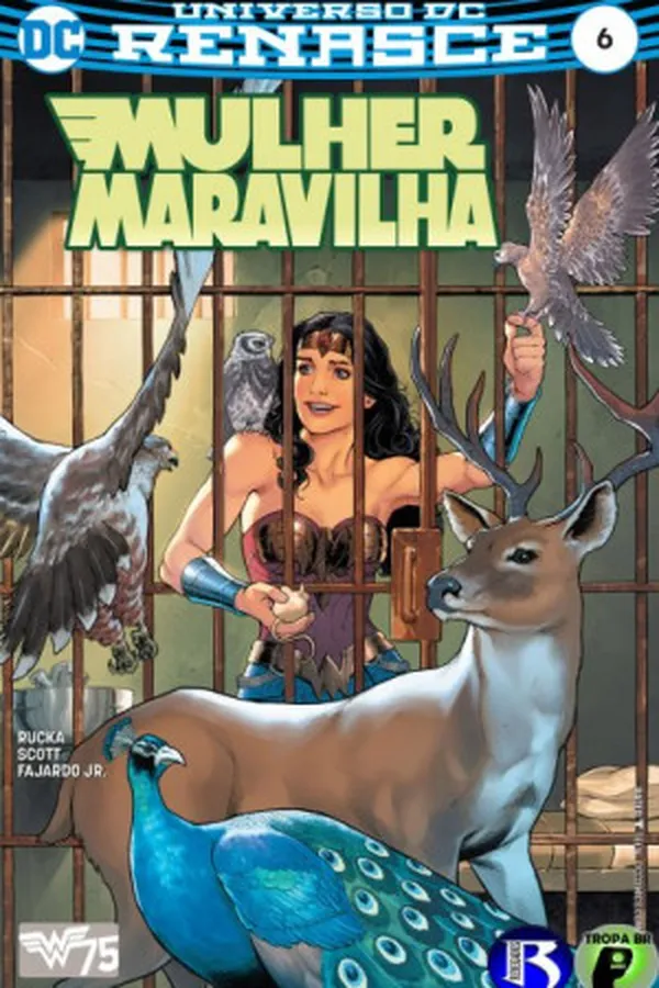 Capa de Mulher Maravilha #6