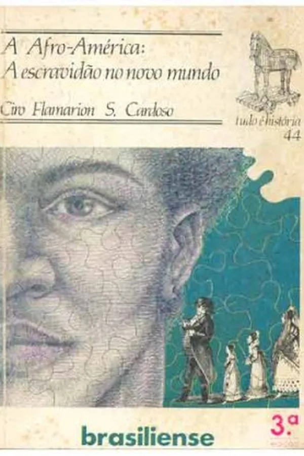 Capa de A Afro-América: A Escravidão no Novo Mundo