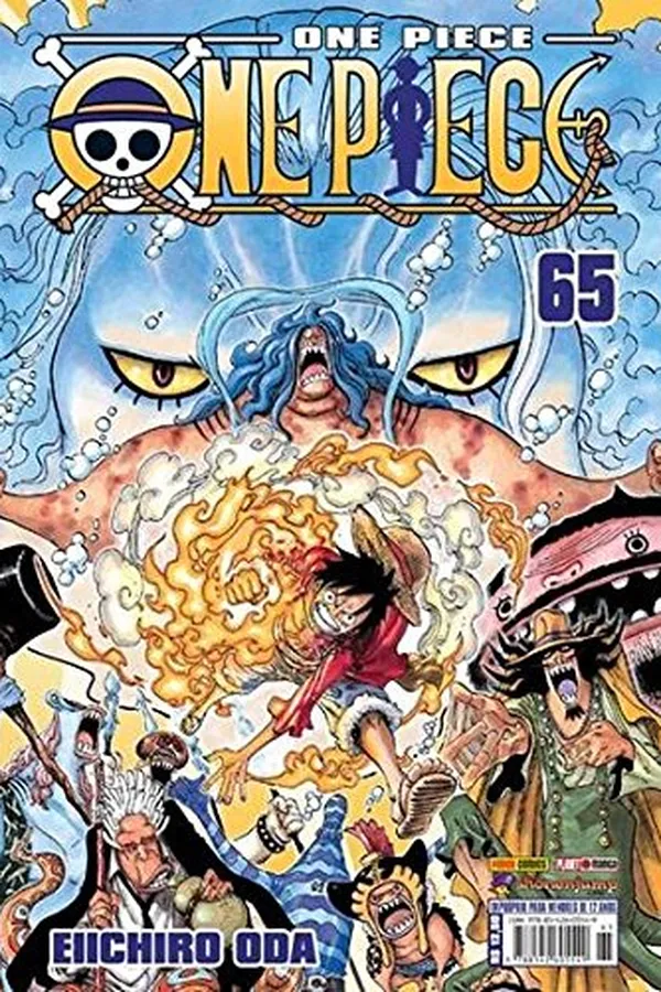 Capa de One Piece