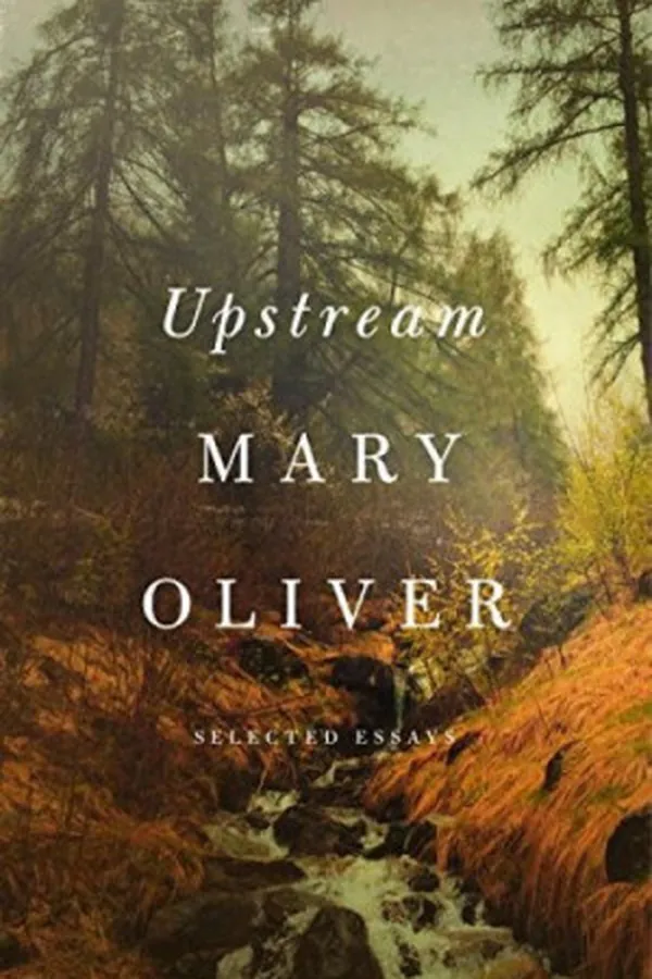 Capa de Upstream