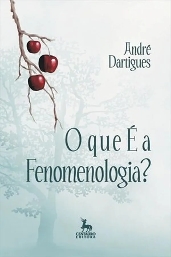Cover of O que é Fenomenologia?