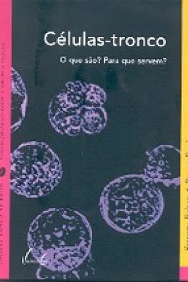 Capa de Células-tronco
