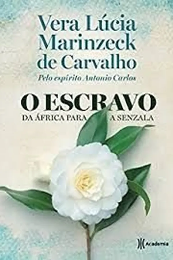 Capa de O Escravo - da África para a senzala. Ed. Econômica