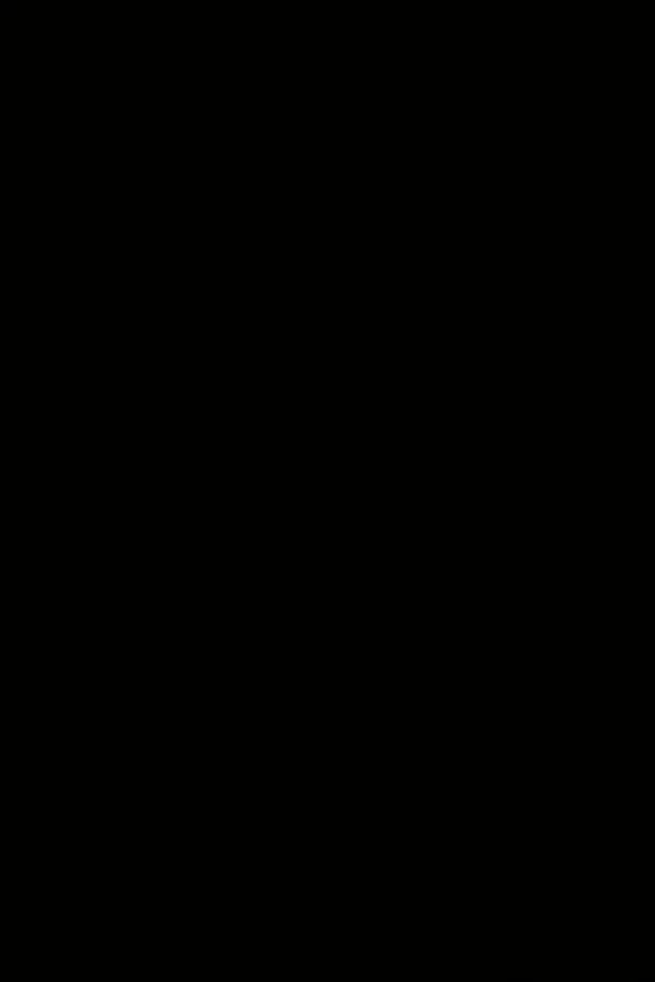 Cover of Excluído
