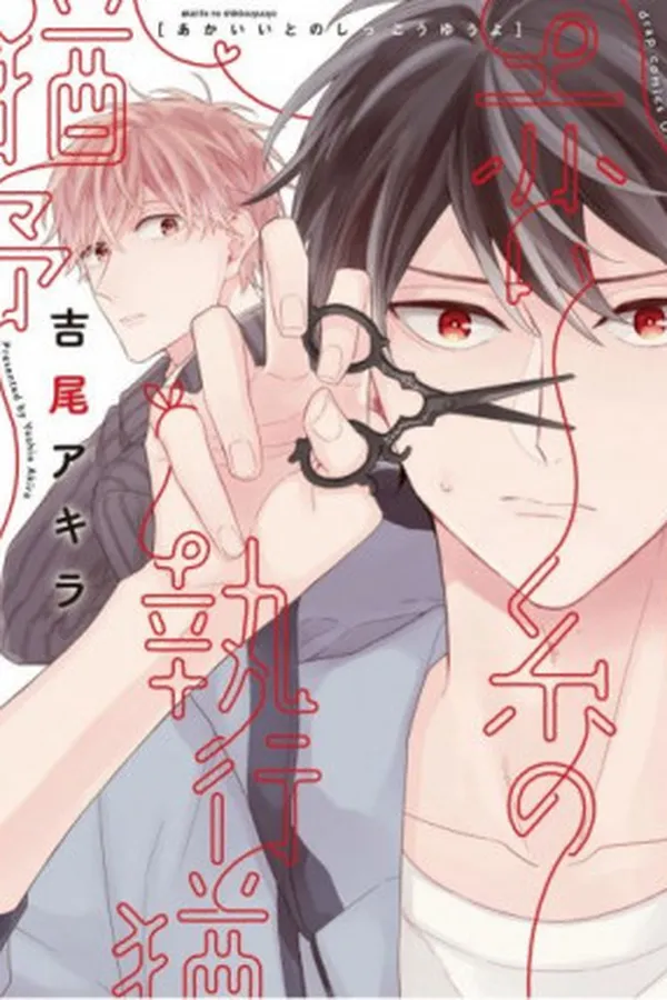 Capa de Akai Ito no Shikkou Yuuyo